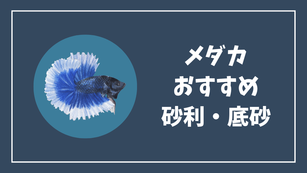 メダカにおすすめの砂利・底砂
