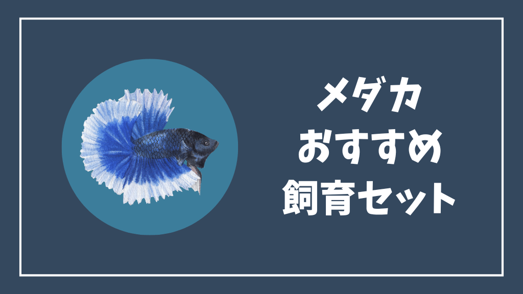メダカにおすすめの飼育セット