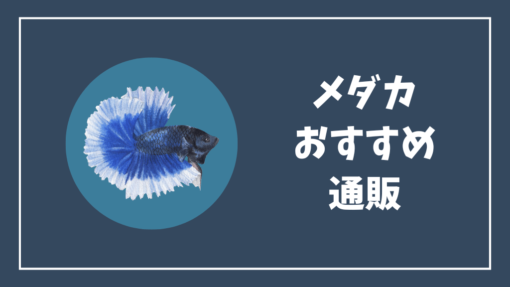 メダカのおすすめ通販
