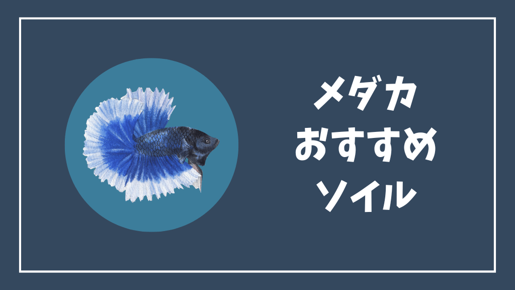 メダカにおすすめのソイル