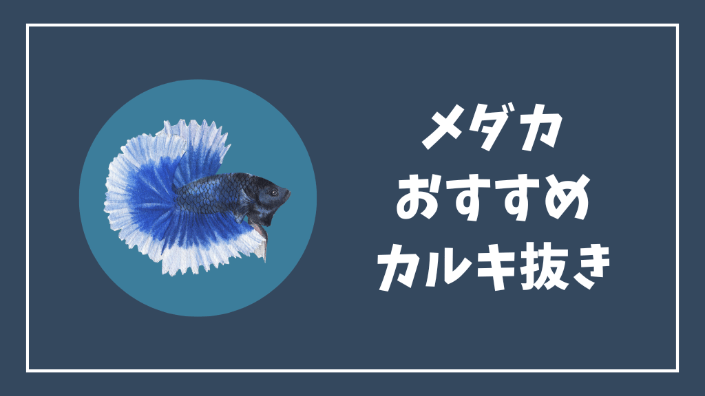 メダカにおすすめのカルキ抜き