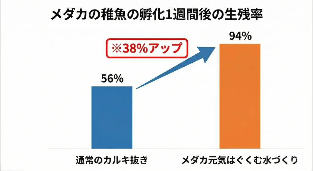 メダカの稚魚の生残率