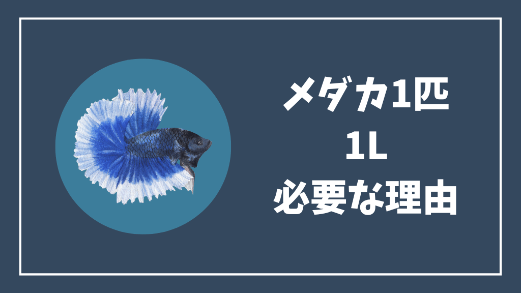 メダカ1匹あたり1L必要な理由
