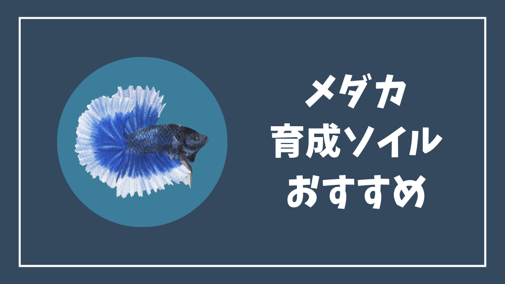 メダカ育成ソイルがおすすめな理由
