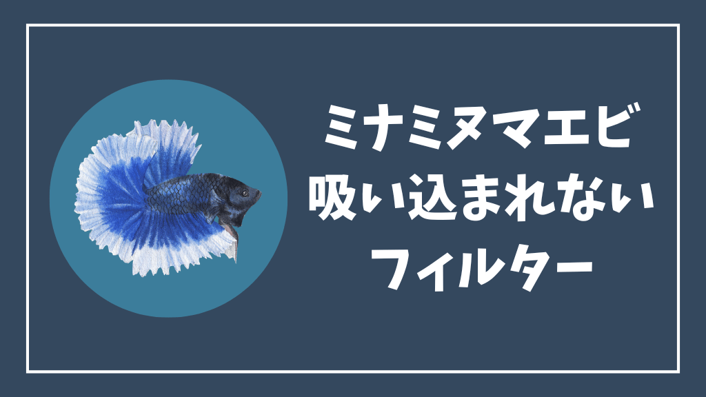 ミナミヌマエビが吸い込まれないフィルター