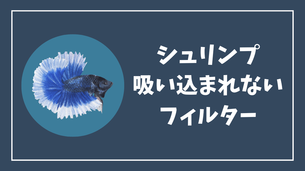 チェリーシュリンプが吸い込まれないフィルター