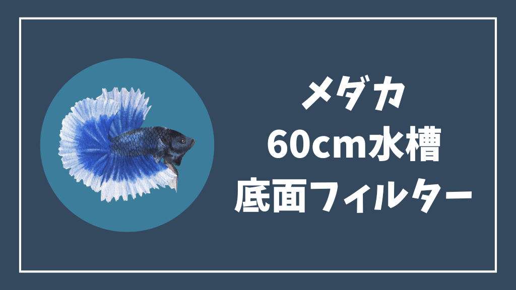 メダカの60cm水槽におすすめの底面フィルター