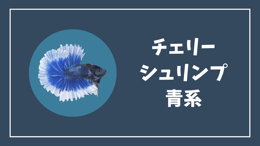 チェリーシュリンプ青系