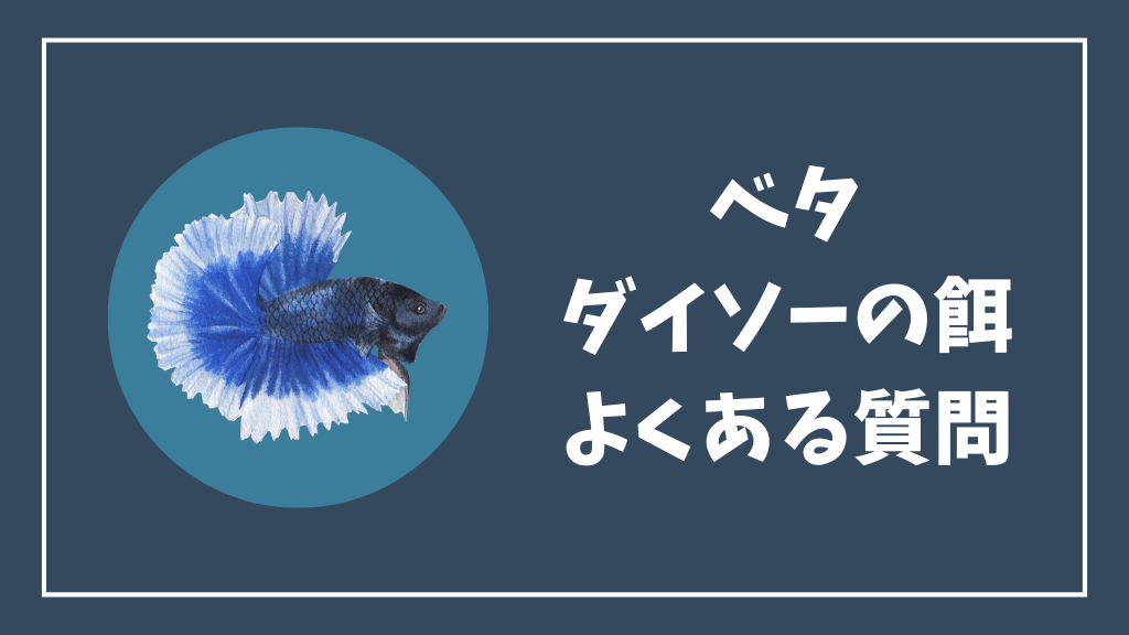 ベタのダイソーの餌のよくある質問